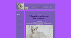 Desktop Screenshot of burmillas.de